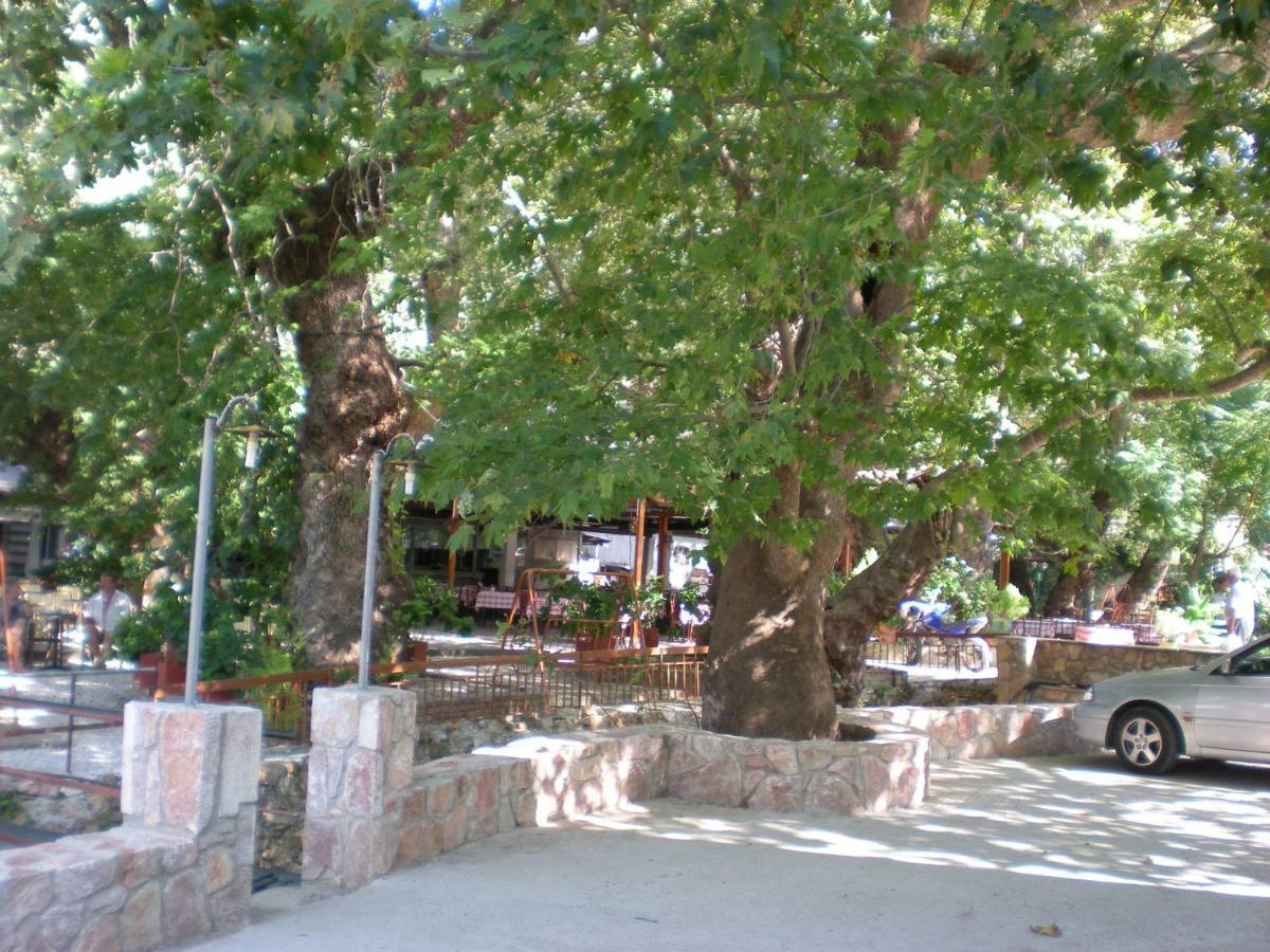Hotel Difo Loutra Edipsou  Exteriér fotografie